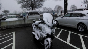 ... beat the odds, first determine if you can survive the odds beating you