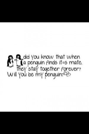 4ever, love, penguin, quote, stay together
