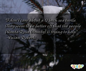 Turtle From Finding Nemo Quotes