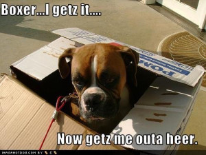 ... funny dog signs, Funny dog pictures Free Download,Funny dog pictures