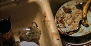 Urban Cowboy Quotes and Sound Clips