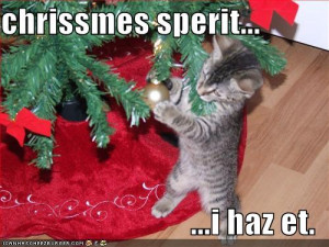 Christmas Spirit Kitten