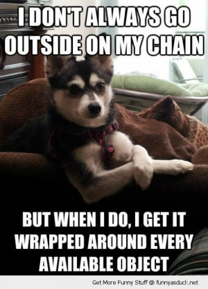 Funny cat & dog | Top 25 funniest cat and dog quotes