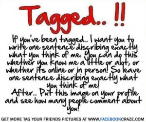 Describe me the best way you can