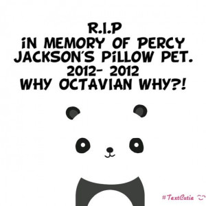 Was it worth it Octavian?!!Pandas Pillows, Pillows Pets, Poor Pandas ...