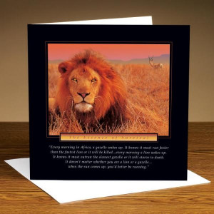 The Essence of Survival (Lion) Cards Pack of 12