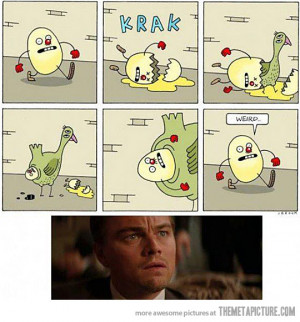 Funny Pics Funny Images Funny Quotes