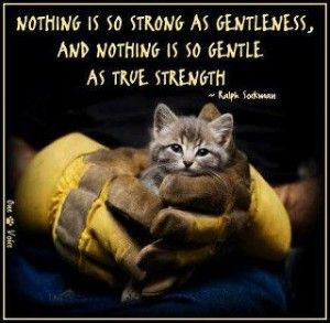 ... is so strong as gentleness, and nothing is so gentle as true strength