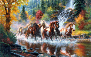 Horses horse of beauty