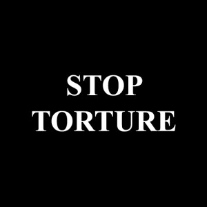http://blogs.law.harvard.edu/stoptorture/files/2006/12/stoptorture.png