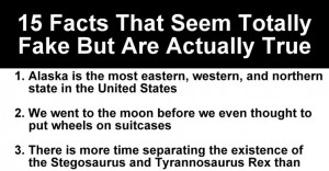 ... Totally Fake But Are Actually True (16 Pics) | Minion Quotes | Page 8