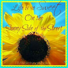 Sunflower Sunshine Quote
