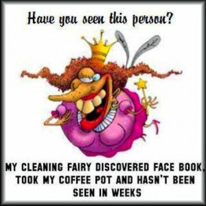 Cleaning fairy