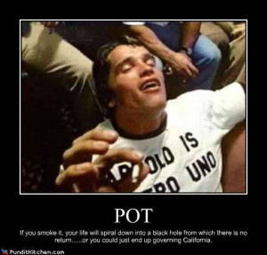 Funny Weed Smoking Quotes