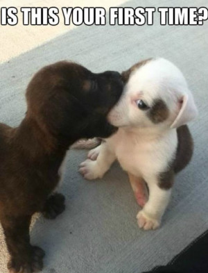 Best-MEMES-2014-First-Kiss.jpg