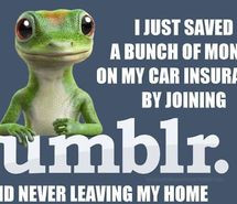 him, imessage, lol, love quote, quote, rude, text, texts