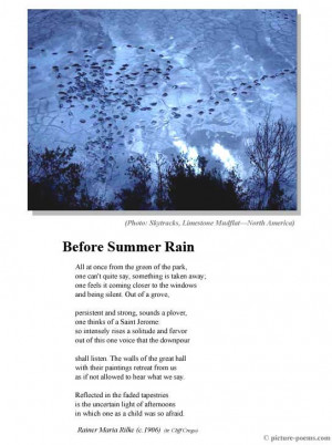 Picture/Poem Poster: Before Summer Rain