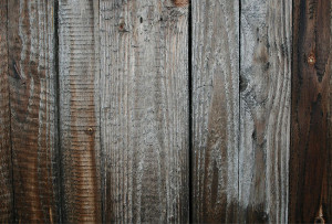 Fine Wood Planks Texture...