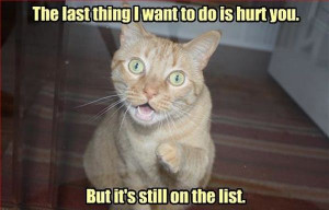 Dont Want To Hurt You - Return to Funny Animal Pictures Home Page