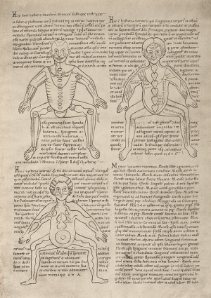 Bible Quotes About The Devil