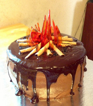 Bonfire cake! Made for my son's 8th birthday! Birthday Parties, Sweet ...