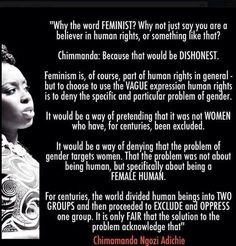 Love this explanation from Chimamanda Ngozi Adichie! More
