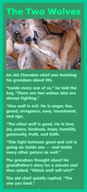 An old Cherokee chief was teaching his grandson about life.