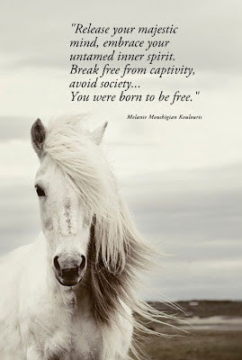 ... Break free from captivity, avoid society...you were born to be free