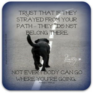 Pinned by Lynn Little