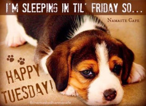 Happy Tuesday quote via Namaste Cafe at www.Facebook.com ...