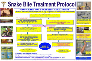 Snakebite Treatment Protocol