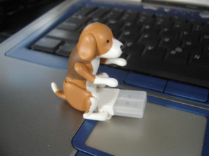 Funny news, funny pictures, videos, quotes and weird happenings ...