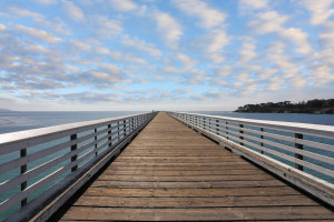 essay how to fund a startup what is the internet of things iot and how ...