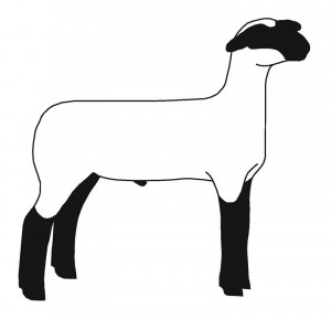 show lamb silhouette clip art