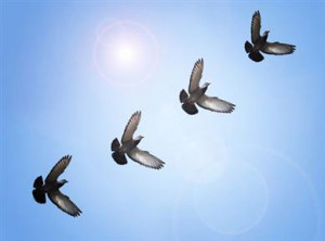 Uplifting Quotes for Hard Times