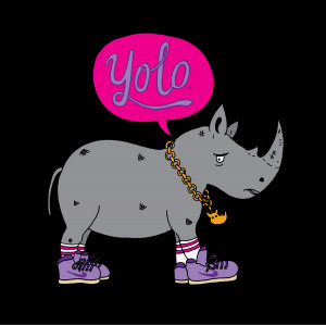 What does YOLO mean? I am old and/or uncool.
