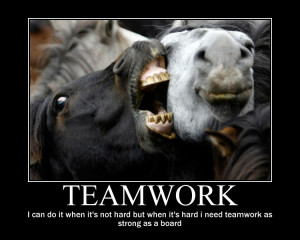 Funny Teamwork Motivational Quotes Funny teamwork.