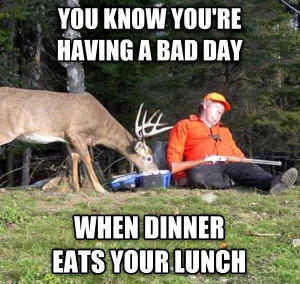 You Know You’re Having a Bad Day When Dinner Eats Your Lunch