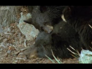 Toonhound - Postman Pat (1981-1994) - Holiday and Vacation