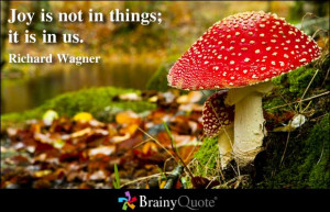 Joy Is Not In Things