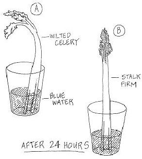 450 x 404 64 kb jpeg credited to quoteko com