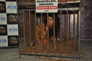 Related Pictures zoo page 1 water animals turtle coloring pictures zoo ...