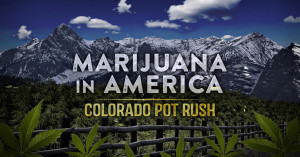 Colorado Will Smoke 4.20 Million Ounces of Marijuana in 2014 ...
