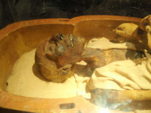 Mummy Of Ramses Ii Ramses Ii Was Buried In The