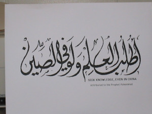 Seek Knowledge in China