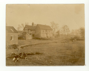 Click images for larger views