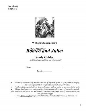 ROMEO AND JULIET QUOTES FRIAR