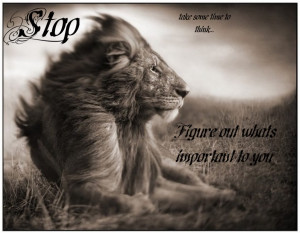 quote 02 Lion Love Quotes