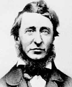 ... would have writ but i was too busy living it henry david thoreau