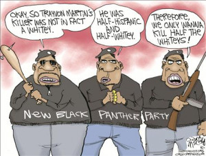 New Black Panther Party - Instigating a Race War!?
